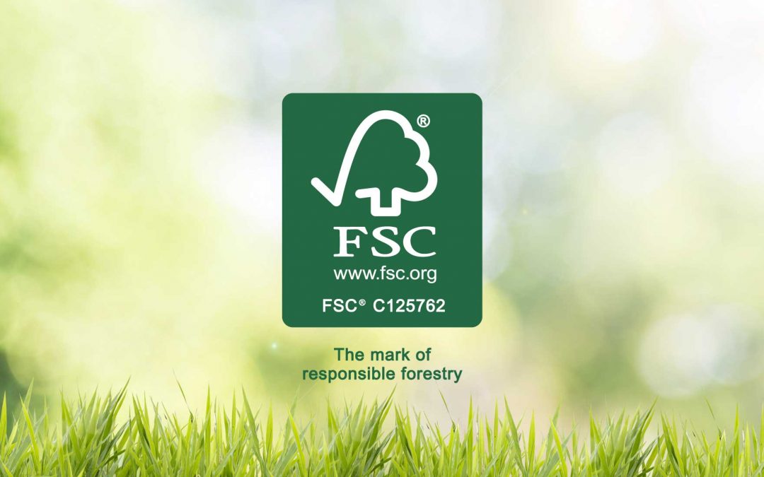 Entenda quais as diferenças entre a certificação FSSC 22000 X FSC