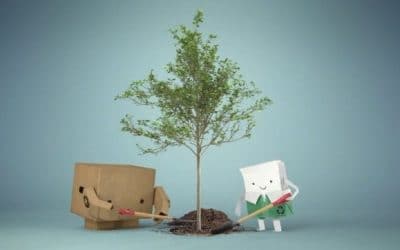 Sustentabilidade: embalagens de papel são a melhor escolha